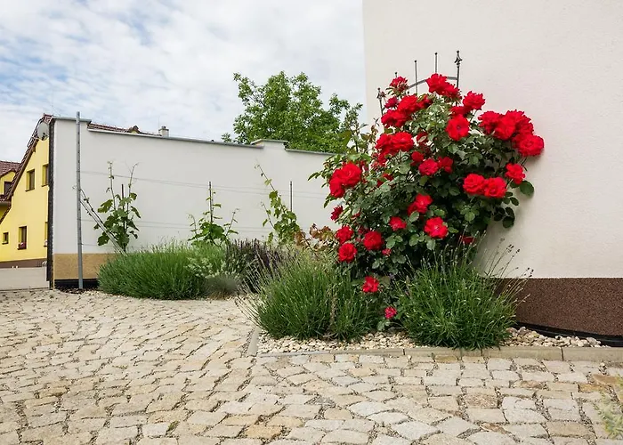 Harmonie Maison d'hôtes